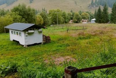 Teren de 1500 mp, în Mitocu Dragomirnei - 3