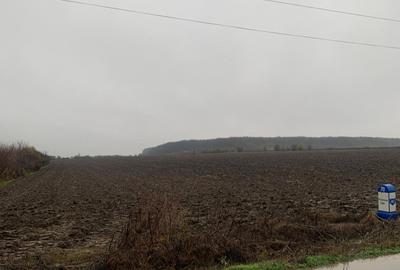 Petrechioaia  Suprafata Compacta 35 000mp(10eur/mp)Teren Extravilan - 6