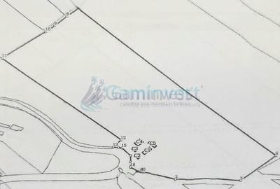 Teren Construcții intravilan de 47923 mp, în Șuncuiuș - 3