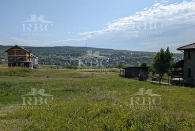 Teren intravilan 4600 mp cu front de 25 m pe strada Odobesti - 8