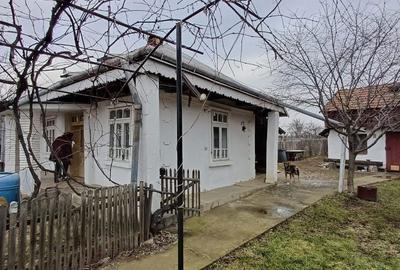 Casă cu 3 camere cu Teren 5000 Mp în Central - 2