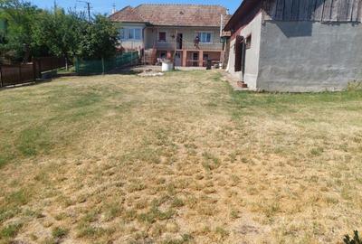 Casă cu 3 camere în Frata - 4