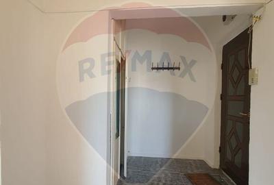 Apartament cu 3 camere de vanzare in zona Vitrometan - 5