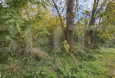 Teren de 1950 mp, în Răzvad