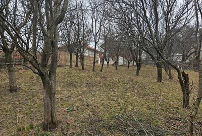 PROPRIETAR-Vand pensiune, Comarnic - 11