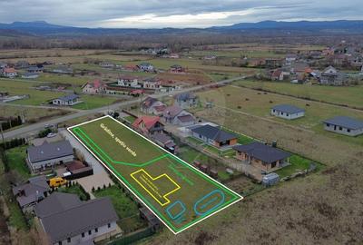 Teren de vanzare cu proiect de casa si piscina Sacalaseni - 2