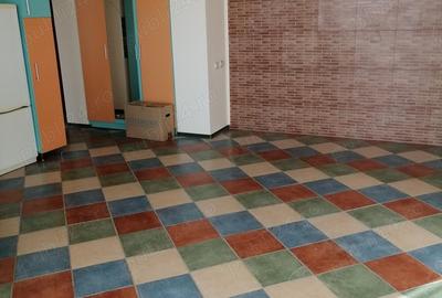 APARTAMENT 3 CAMERE 55 m.p plus mansarda cu dressing de 55 m.p. - 8