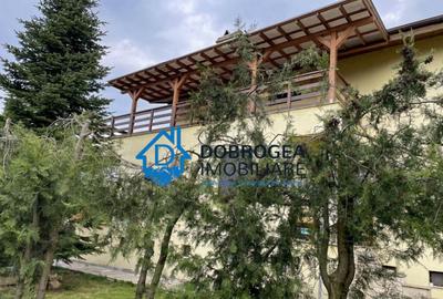 Vila Mineri, D+P+1, teren 1600 mp - 7