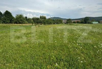 Teren de 3900 mp, în Unirea - 1