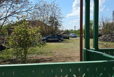 Proprietate specială, de 800 mp, în Poiana (Tăuteu) - 12