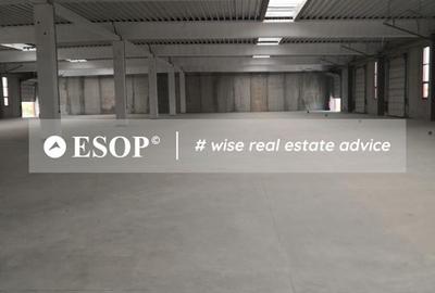 Hale industriale, parc modern, Rudeni, Chitila, Ilfov- ID 15462 Hale industriale, parc modern, Rudeni, Chitila, Ilfov- ID 15462 - 5