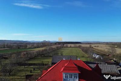 Casă cu 6 camere cu Teren 12500 Mp în Sasca Mică - 15