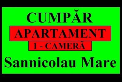 Garsonieră decomandată în Sânnicolau Mare - 5