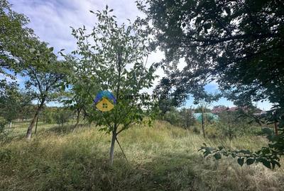 Teren + Casa de Vanzare 1170 mp Dumbrava Ro?ie, N - 4