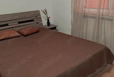 Apartament cu 3 camere decomandat în Brazda lui Novac - 9