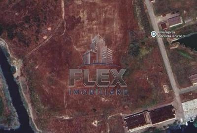 Teren de 38300 mp, în Valea Nucarilor - 2