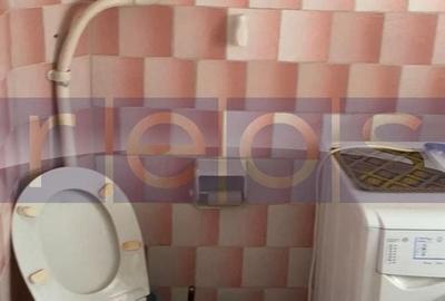 Casă individuală cu 8 camere cu Canalizare în Calea Călărașilor - 19