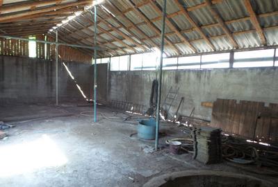 Hala nord Odobesti, Vrancea - 1