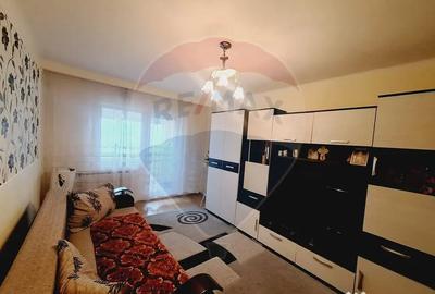 Apartament cu 3 camere decomandat în Nufărul - 8