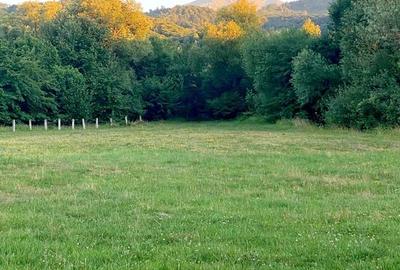 Teren superb Rasnov cu priveliste si rau - 7