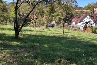 Spațiu comercial, în Suceagu - 1