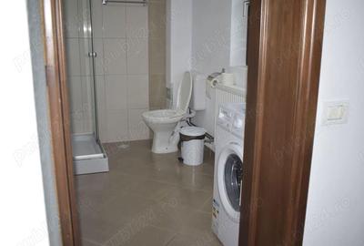 Vila de inchiriat - 20