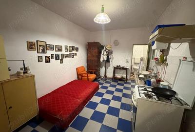 Casă cu 6 camere cu Teren 5000 Mp în Nerău - 2