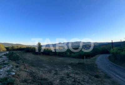 Teren intravilan 2162 mp cu deschidere de 33m Jiblea Veche C - 6