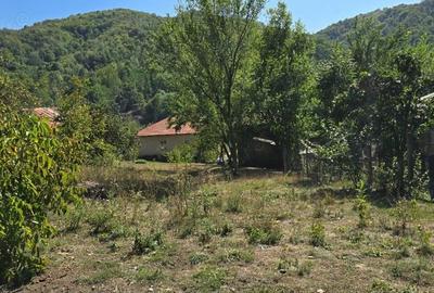 Casă cu 5 camere în Aluniș - 1