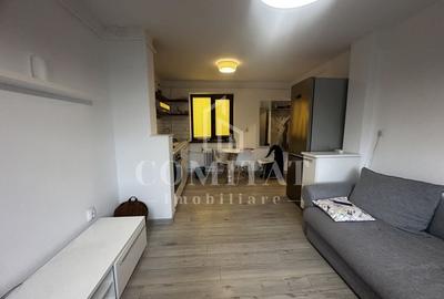 Apartament 2 camere| Mobilat și utilat | Zona Str Grigore Alexandrescu - 2