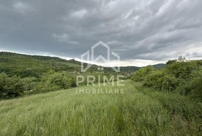 Teren de 4000 mp, în Ampoița