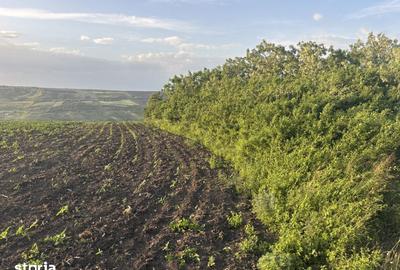 Teren de 1000 mp, în Iris - 4