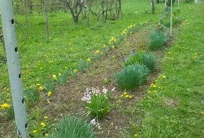 Spațiu comercial, în Posești - 2