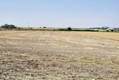 Teren Construcții intravilan de 5000 mp, în Ovidiu - 2