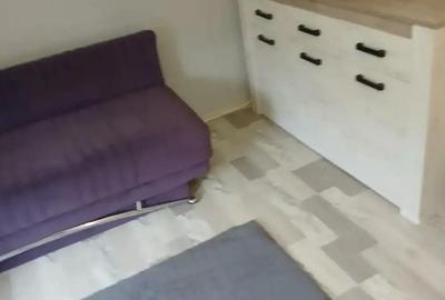 Primesc in gazda,o persoana,la vila cu confort ,de 5 stele - 2