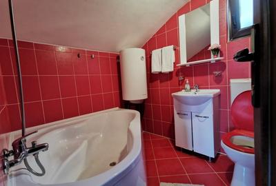 Oportunitate de investitie - pensiune de vanzare Moieciu de Jos - 18