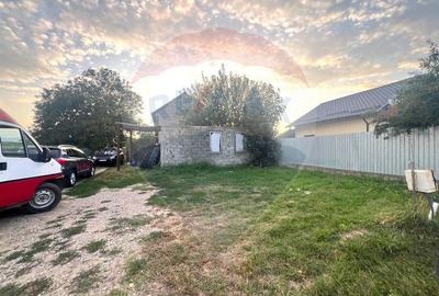 Casa de vanzare 3 camere - com. Letea Veche- sat. Holt - 7