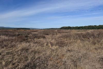 Teren de vanzare in Harman 4,4 Hectare - 13