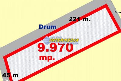 Teren de 9970 mp, în Partoș - 3