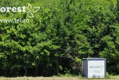 Teren de 1800 mp, în Cocani - 3