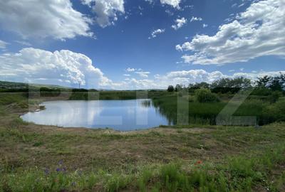 Teren extravilan 10000 mp, cu balta de peste, Salaj, Sarmasa - 2