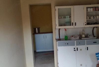 Casă cu Teren 7000 Mp în Săbiești - 2