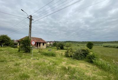 Teren 2800mp cu front de 30m la DJ, ideal pentru constructie - 4