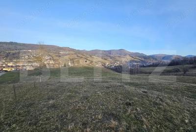 Teren intravilan de 16667 mp, Sosea de Centura, Abrud - 3