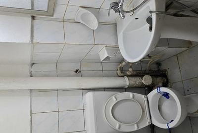 Garsonieră nedecomandată în Boul Roșu - 2