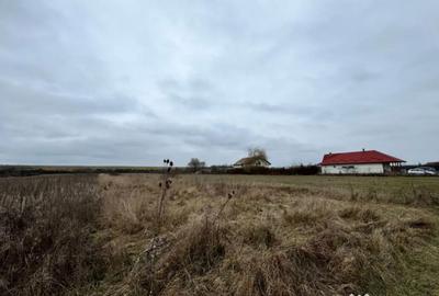 Teren de 2800 mp, în Satulung - 3