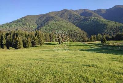 Teren Construcții extravilan de 11800 mp, în Piatra Fântânele - 3
