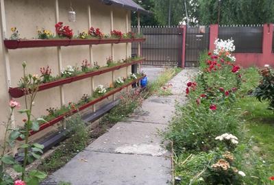 Pitaru, Dambovita - 6