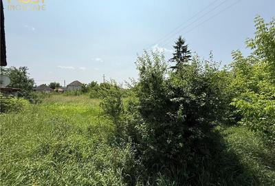 Teren intravilan de 2500 mp, în Reteag - 4