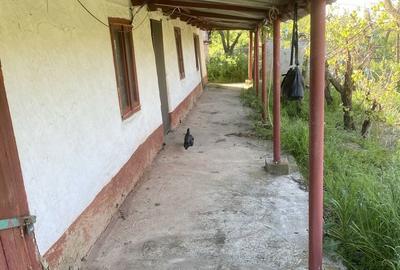 Spațiu comercial, în Pitulați - 1